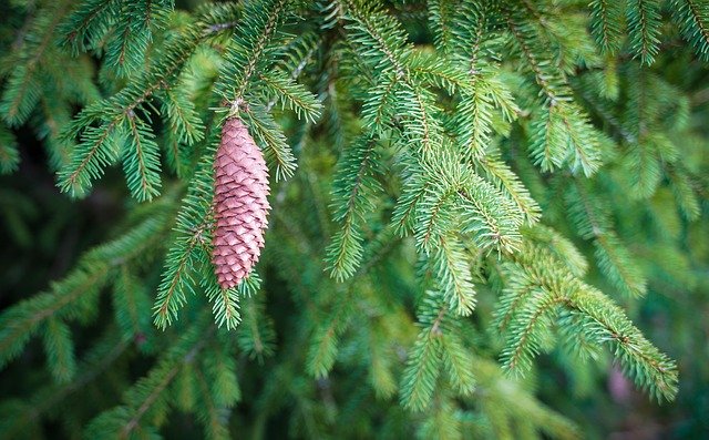 花粉やハウスダストなどのアレル物質対策|花粉症・鼻炎に