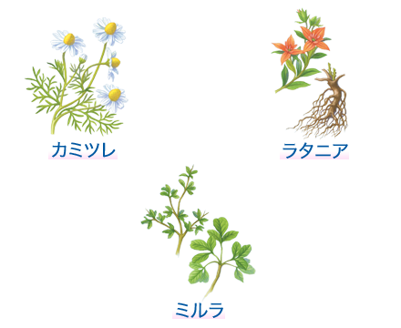 f:id:sk96a:20200413160926p:plain 殺菌成分複数配合|歯茎の引き締まりをすぐに実感・効果が出るまで早いです