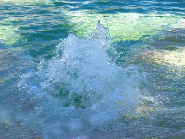 なぜ夏は心拍数が下がらないのか？｜冷水が冷水じゃない
