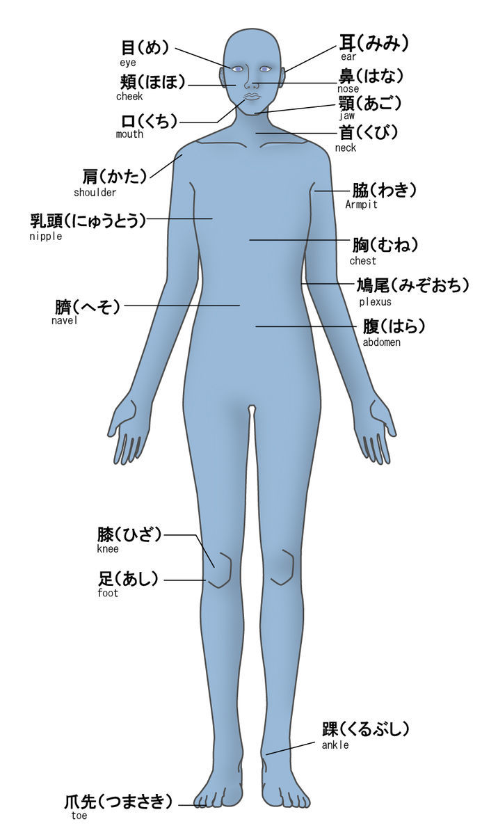 夏の交互浴のコツ①｜冷却する身体のの部位に着目