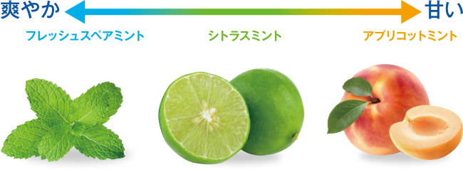 味はスッキリさわやか3種類|筆者はフレッシュスペアミントをチョイス