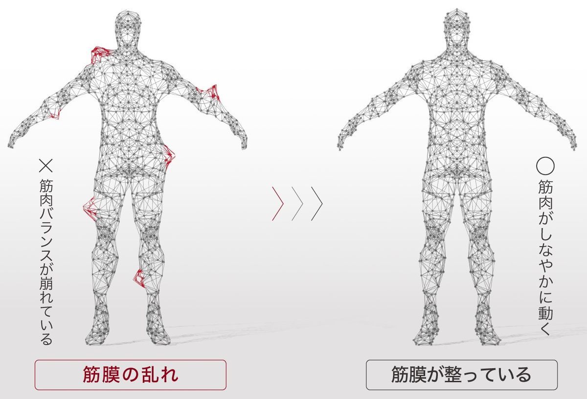 筋膜リリースが簡単にできる｜疲労に対する効果が高い