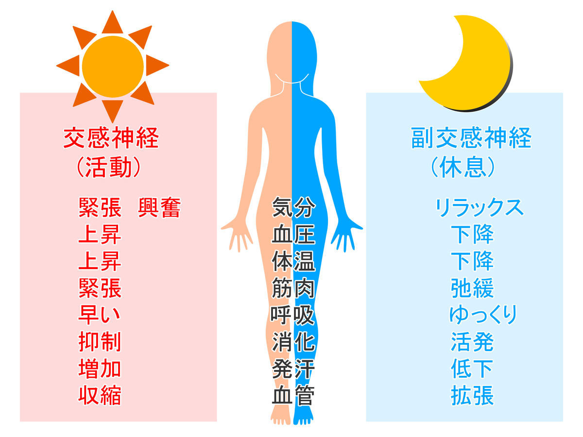 岩盤浴とサウナとの違い④|自律神経