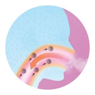 使い方