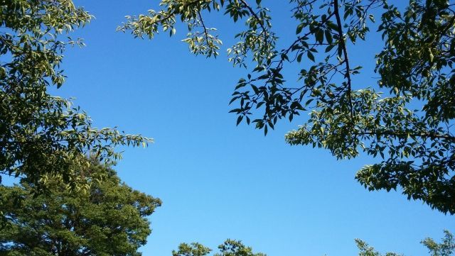 外気浴とは？