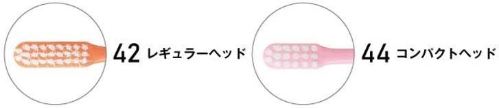 コンパクトなヘッドのサイズ