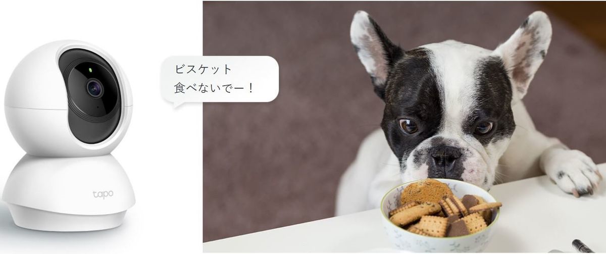 通話やメッセージも可能|外出先からも