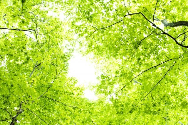 外気浴の時に人はととのう