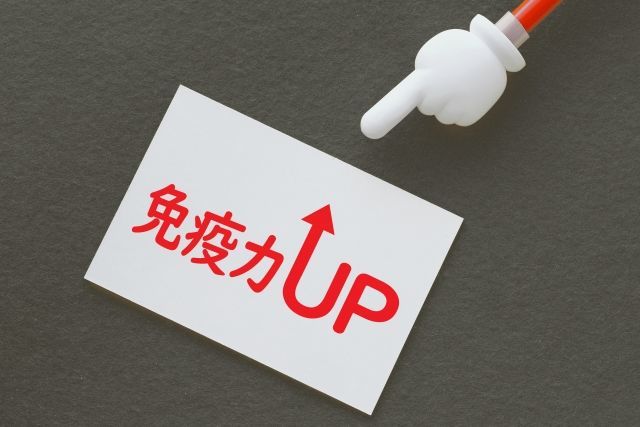 免疫力向上