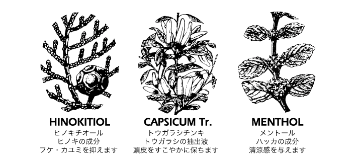 ハールワッサーの有効成分