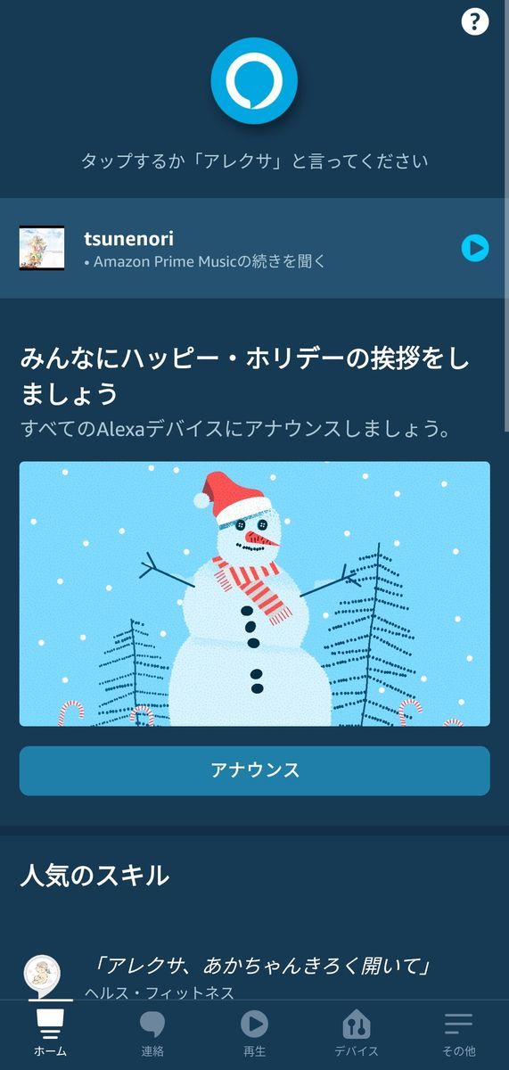 Echo Auto 設定