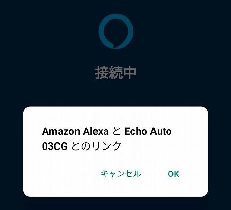Echo Auto 設定