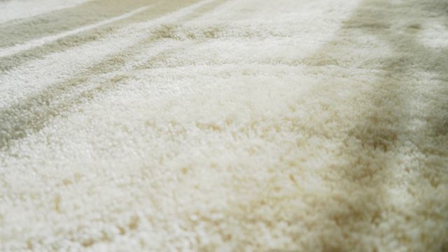 カーペットのある部屋