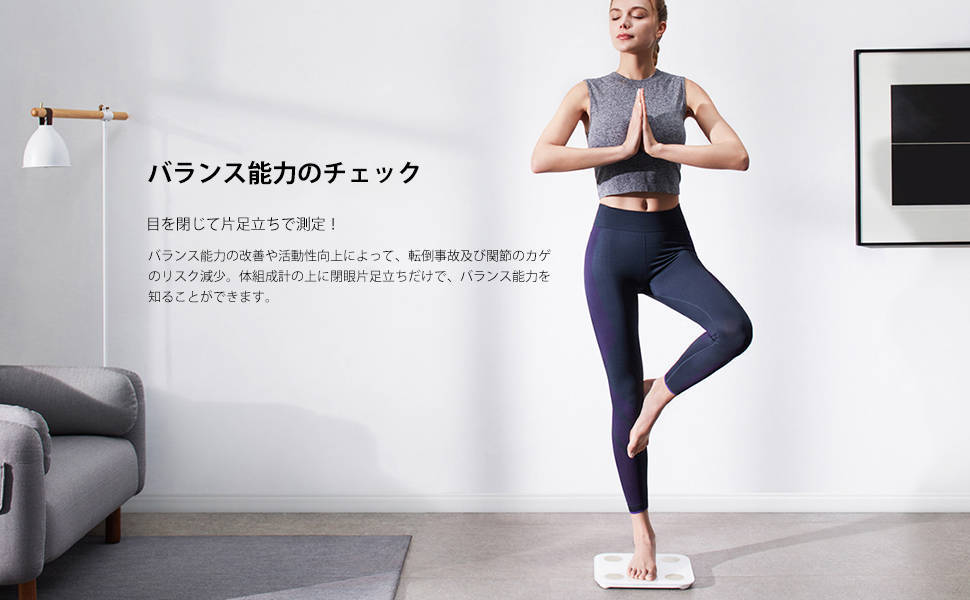 おもしろい使い方｜バランス測定もできちゃう