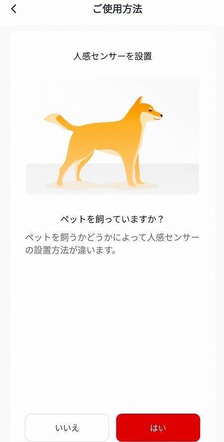初期設定
